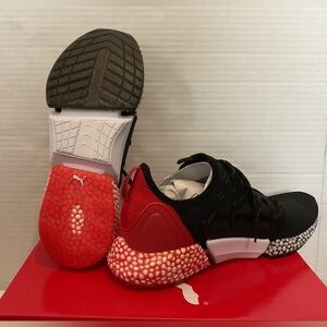 Puma hybrid rocket runner